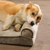 imageAmazon Basics Living Room Couch Dog Bed with Premium Foam PressureRelief Support for Dogs up to 90lbs Machine Washable Cover Extra Large Sized 44quot x 35quot GreyBrown