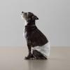 imageAmazon Basics Male Dog Diapers 30 Count XSmall Ultra Absorbent Disposable Wrap with Secure Fit Leakproof and ComfortableSmall Pack of 30