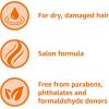 imageAmazon Basics Moisture Rich Conditioner 28 Fluid Ounce28 Ounce Pack of 4
