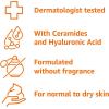 imageAmazon Basics Moisturizer Cream for Face Dry Skin Hydrating 16 Ounces 1Pack16 Ounce Pack of 2