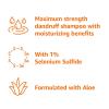 imageAmazon Basics Moisturizing Dandruff Shampoo 11 Fl Oz Pack of 111 Fl Oz Pack of 2