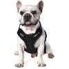 imageAmazon Basics No Pull Dog Harness Adjustable Front Clip Tactical Vest Large BlackSmall