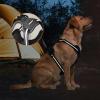imageAmazon Basics NoPull Dog Harness Adjustable Soft Padded Vest with Reflective Stripes Small BlackBlack
