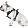 imageAmazon Basics NoPull Dog Harness Adjustable Soft Padded Vest with Reflective Stripes Small BlackBlack