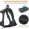 imageAmazon Basics NoPull Dog Harness Adjustable Soft Padded Vest with Reflective Stripes Small BlackBlack