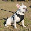 imageAmazon Basics NoPull Dog Harness Adjustable Soft Padded Vest with Reflective Stripes Small BlackBlack