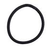 imageAmazon Basics Pony Tail Hair Ties  Bright 4 MM Elastics for All Types 32 CountBlack