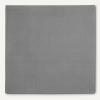 imageAmazon Basics Reusable Stain and Wrinkle Repellent Cloth Napkins 12 Pack 17 x 17 inches WhiteDark Grey