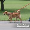 imageAmazon Basics Round Dog Leash Heavy Duty Durable Rope for Small Medium and Large Dogs Lightweight Design for Walking Training and Outdoor Activities Blue 6 FtRed