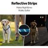 imageAmazon Basics Round Dog Leash Heavy Duty Durable Rope for Small Medium and Large Dogs Lightweight Design for Walking Training and Outdoor Activities Blue 6 FtBlue