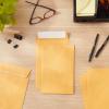 imageAmazon Basics Self Adhesive Catalog Mailing Envelopes Peel and Seal 6x9 Inch Brown Kraft 100Pack100Pack
