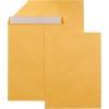 imageAmazon Basics Self Adhesive Catalog Mailing Envelopes Peel and Seal 6x9 Inch Brown Kraft 100Pack250Pack