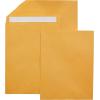 imageAmazon Basics Self Adhesive Catalog Mailing Envelopes Peel and Seal 6x9 Inch Brown Kraft 100Pack250Pack