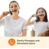 imageAmazon Basics Soft Toothbrushes for Adults  Pulsating Deep Cleaning with Soft Bristles 2 Count Assorted Colors2 Count Pack of 2