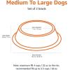 imageAmazon Basics Stainless Steel NonSkid Pet Dog Water And Food Bowl 2Pack 10 x 28 Inches Each Holds Up to 4 CupsStainless Steel
