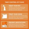 imageAmazon Basics Topical Flea Treatment for Medium Cats 59 Pounds 4 Count Previously Solimo6 Count