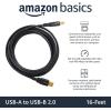 imageAmazon Basics USBA to USBB 20 Cable for Printer or External Hard Drive GoldPlated Connectors 16 Foot Black16 Feet