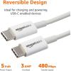 imageAmazon Basics USBC to USBC Fast Charger Cable 480Mbps Speed USBIF Certified for Fast Charging Apple iPhone 1615 iPad MacBook Samsung Galaxy Tablets Laptops 6 Foot WhiteWhite