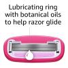 imageAmazon Basics Womens 5 Blade FITS Razor for Women FITS Amazon Basics Handle and Venus Handles Includes 1 FITS Handle 12 Cartridges ampamp 1 Shower HangerPink
