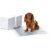 imageAmazon Basics Carbon OdorControl Dog and Puppy Pee Pads 5Layer LeakProof Super Absorbent QuickDry Surface Potty Training Regular 22x22quot 120 Count GrayRegular 80 Count