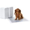 imageAmazon Basics Carbon OdorControl Dog and Puppy Pee Pads 5Layer LeakProof Super Absorbent QuickDry Surface Potty Training Regular 22x22quot 120 Count GrayRegular 120 Count