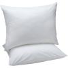 Standard (2 Pillows + 2 Protectors)