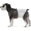 Medium (Pack of 30)