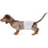 imageAmazon Basics Male Dog Diapers 30 Count XSmall Ultra Absorbent Disposable Wrap with Secure Fit Leakproof and ComfortableSmall Pack of 30