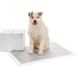 imageAmazon Basics Carbon OdorControl Dog and Puppy Pee Pads 5Layer LeakProof Super Absorbent QuickDry Surface Potty Training Regular 22x22quot 120 Count GrayXLarge 50 Count