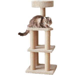 imageAmazon Basics Cat Tree  Indoor Cat ampamp Kittens MultiLevel Climbing Activity Tower with Scratching Posts Medium 315quotH  BeigeLarge