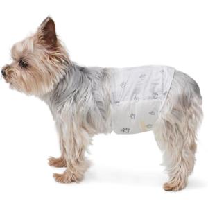 imageAmazon Basics Male Dog Diapers 30 Count XSmall Ultra Absorbent Disposable Wrap with Secure Fit Leakproof and ComfortableXSmall Pack of 30