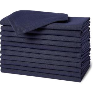 imageAmazon Basics Reusable Stain and Wrinkle Repellent Cloth Napkins 12 Pack 17 x 17 inches WhiteNavy