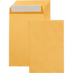 imageAmazon Basics Self Adhesive Catalog Mailing Envelopes Peel and Seal 6x9 Inch Brown Kraft 100Pack100Pack