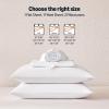 imageAmazon Basics Cationic Microfiber 4Piece Sheet Set Wrinkle Free and Easy Fit 1 Flat Sheet 1 Fitted Sheet and 2 Pillowcases Queen GreyWhite