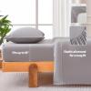 imageAmazon Basics Jersey Microfiber 4Piece Sheet Set Wrinkle Free and Easy Fit 1 Flat Sheet 1 Fitted Sheet and 2 Pillowcases Queen WhiteGrey