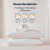 imageAmazon Basics Jersey Microfiber 4Piece Sheet Set Wrinkle Free and Easy Fit 1 Flat Sheet 1 Fitted Sheet and 2 Pillowcases Queen WhiteWhite