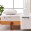 imageAmazon Basics Jersey Microfiber 4Piece Sheet Set Wrinkle Free and Easy Fit 1 Flat Sheet 1 Fitted Sheet and 2 Pillowcases Queen WhiteWhite