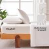 imageAmazon Basics Jersey Microfiber 4Piece Sheet Set Wrinkle Free and Easy Fit 1 Flat Sheet 1 Fitted Sheet and 2 Pillowcases Queen WhiteWhite