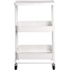 imageAmazon Basics 2Tier Metal KitchenUtility Cart with Shelf White