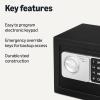 imageAmazon Basics Steel Security Safe and Lock Box with Electronic Keypad  016 cu ft016 cuft