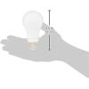 imageAmazon Basics A19 LED Light Bulbs 100 Watt Equivalent Daylight White 5000K Energy Efficient 15W NonDimmable 10000 Hour Lifetime 2Pack