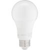 imageAmazon Basics A19 LED Light Bulbs 100 Watt Equivalent Daylight White 5000K Energy Efficient 15W NonDimmable 10000 Hour Lifetime 2Pack