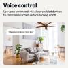 imageAmazon Basics Smart Fan Control Switch Single Pole Works with Alexa Only 24 GHz WiFi No Hub Required White