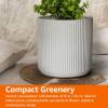 imageAmazon Basics Fluted Ceramic Round Planter 10inch BlackWhite