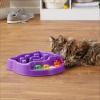 imageAmazon Basics Pet Activity Center and Feeder GreenPurple