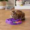 imageAmazon Basics Pet Activity Center and Feeder GreenPurple