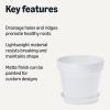 imageAmazon Basics Plant Pots 6 inch White 1Pack8 inch