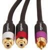 imageAmazon Basics RCA YAdapter Splitter with 2Female on One End and 1Male RCA Cable GoldPlated Black 12 Inches304 cm1 Male to 2 Female