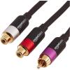 imageAmazon Basics RCA YAdapter Splitter with 2Female on One End and 1Male RCA Cable GoldPlated Black 12 Inches304 cm1 Male to 2 Female