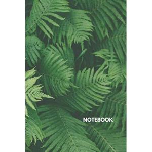 imageAmazon Basics Classic Lined Notebook 120 Pagesawsome cover  Ruled  6 x 9 inch 1524 x 2286 120 pages